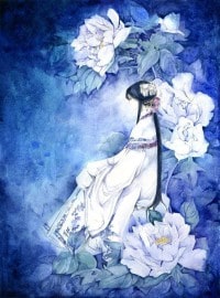 武星耀侠影