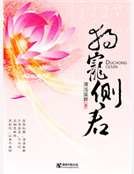 《独宠侧君》