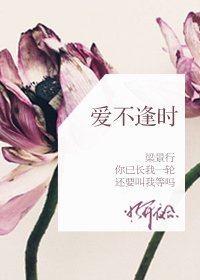 《爱不逢时》