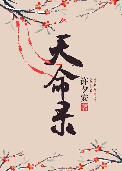 天命录