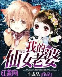 《我的仙女老婆》