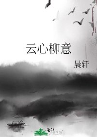 云心柳意