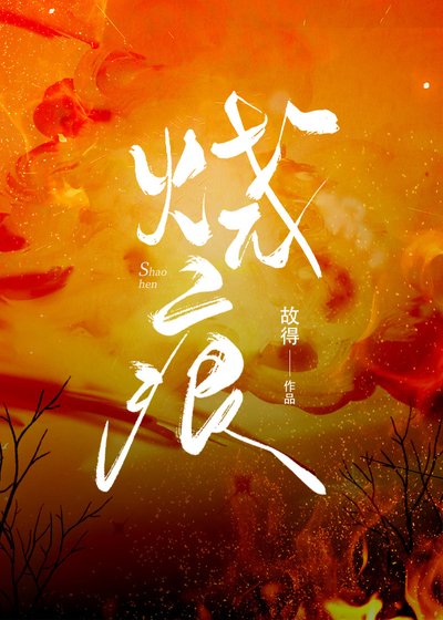 《烧痕》