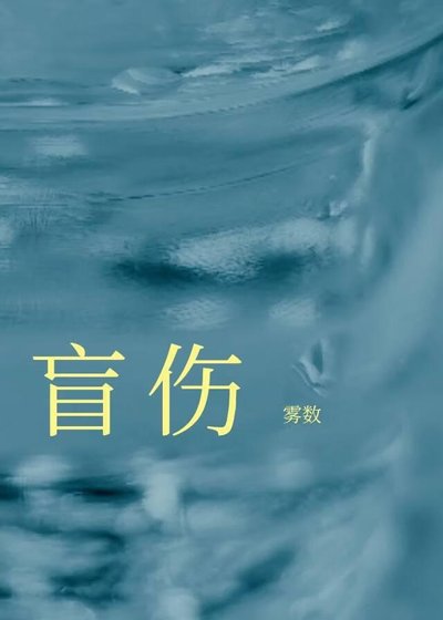 《盲伤/去他个狗屁良心》